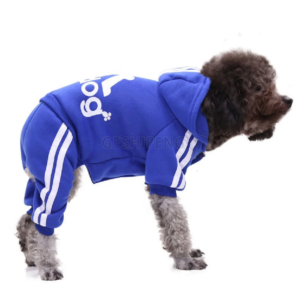 H89f79ab98d4542b382f87cecd10072d8L.png