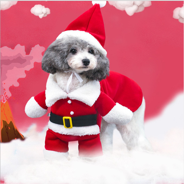 H92826ce2d56e4beaa6aebe8035f7c0b7A.png