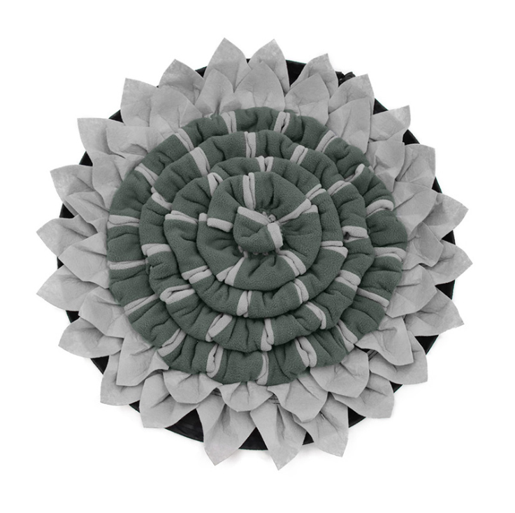 Ha11424d6a57a44fea4bafb9f37b4d6a5d.png